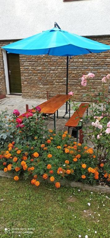 Apartmán Privat L&L Nová Lesná Exteriér fotografie